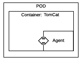 Container Tomcat Agent